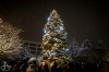 Jihočeská města rozsvítila vánoční stromy