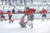 Turnaj Winter Hockey Days vyhráli fotbaloví reprezentanti, Sparta a Pacov. Návštěvníci pomáhali Rolničce