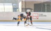 Turnaj Winter Hockey Days vyhráli fotbaloví reprezentanti, Sparta a Pacov. Návštěvníci pomáhali Rolničce