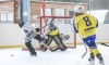 Turnaj Winter Hockey Days vyhráli fotbaloví reprezentanti, Sparta a Pacov. Návštěvníci pomáhali Rolničce