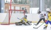 Turnaj Winter Hockey Days vyhráli fotbaloví reprezentanti, Sparta a Pacov. Návštěvníci pomáhali Rolničce