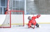 Turnaj Winter Hockey Days vyhráli fotbaloví reprezentanti, Sparta a Pacov. Návštěvníci pomáhali Rolničce