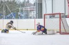 Turnaj Winter Hockey Days vyhráli fotbaloví reprezentanti, Sparta a Pacov. Návštěvníci pomáhali Rolničce