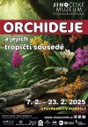 Jihočeské muzeum v Budějovicích láká na opičí orchideje i krokodýla