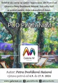 Výstava - Pod platanem